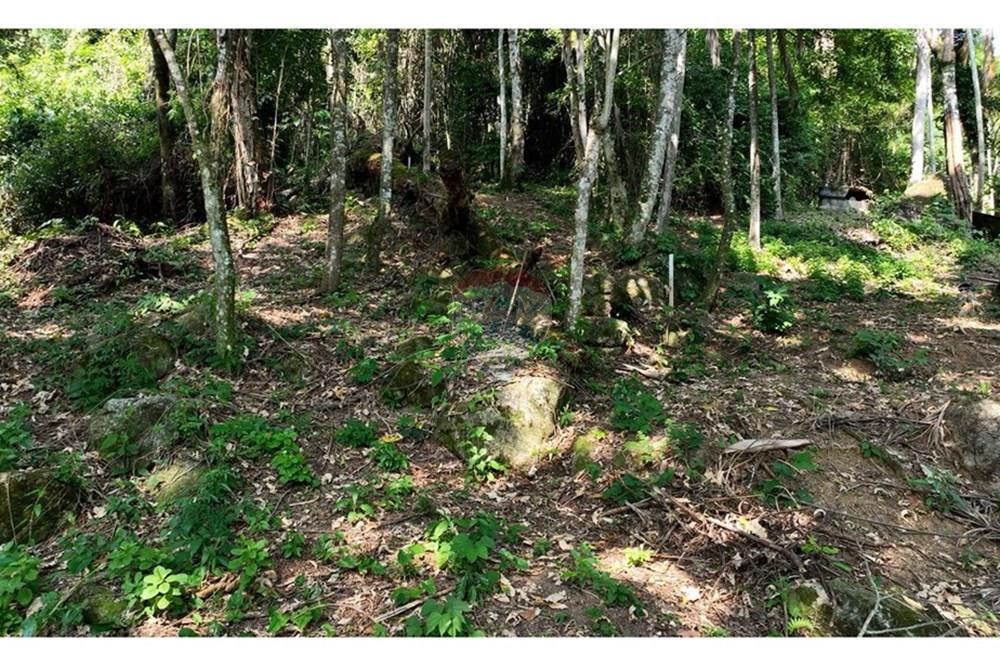 Terreno - Venda - Ilhabela , São Paulo - IMG-20250604-WA0012.jpg - 630951011-24