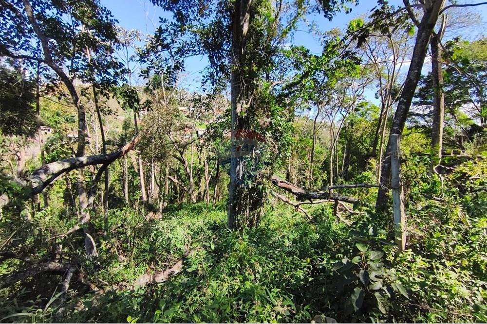 Terreno - Venda - Mairiporã , São Paulo - Terreno rafael 11 .jpg - 631361069-8