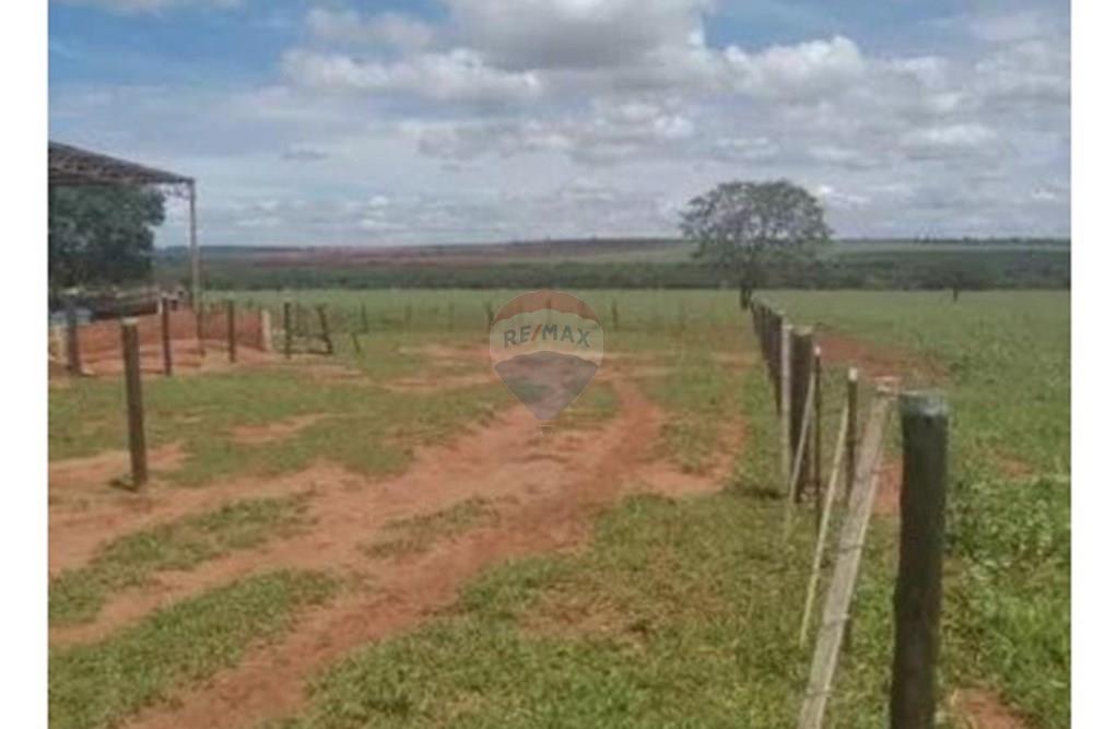 Chácara / Sítio / Fazenda - Venda - Junqueirópolis , São Paulo - WhatsApp Image 2024-10-26 at 10.20.03 (1).jpeg - 630541038-36