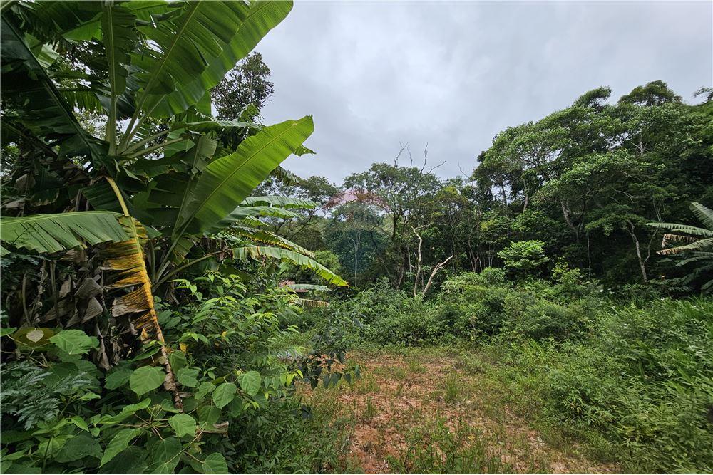 Terreno - Venda - Nova Friburgo , Rio de Janeiro - 34 - 630551016-143