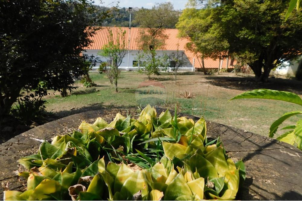 Chácara / Sítio / Fazenda - Venda - Mairinque , São Paulo - DSCN7660.JPG - 631601004-98