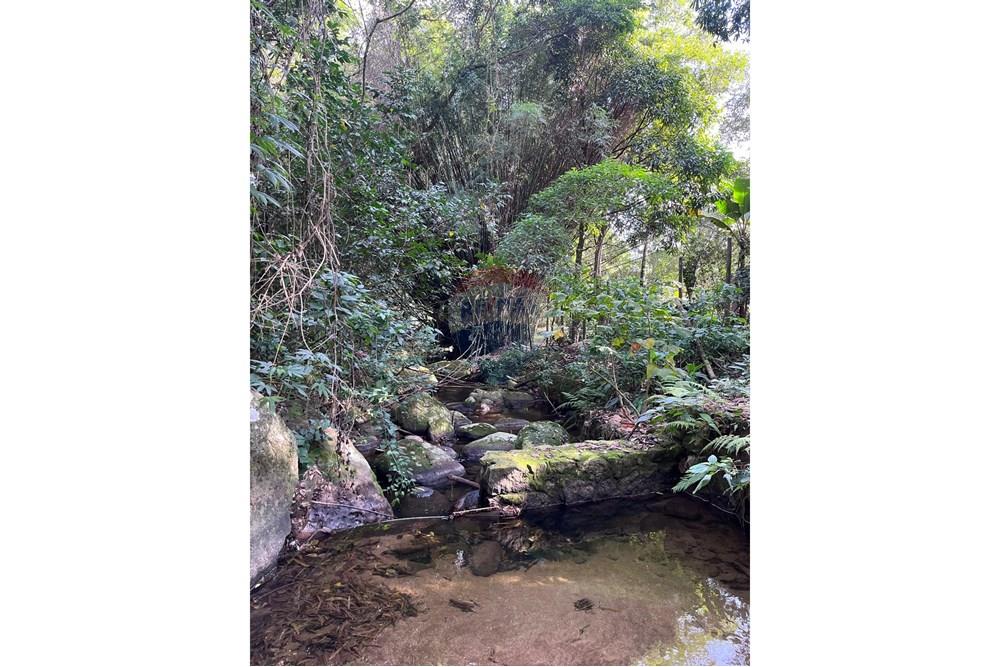 Casa - Venda - Ilhabela , São Paulo - WhatsApp Image 2025-07-31 at 16.07.11.jpeg - 690881023-50