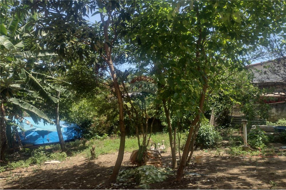 Terreno - Venda - Mogi das Cruzes , São Paulo - 5 - 630281041-83