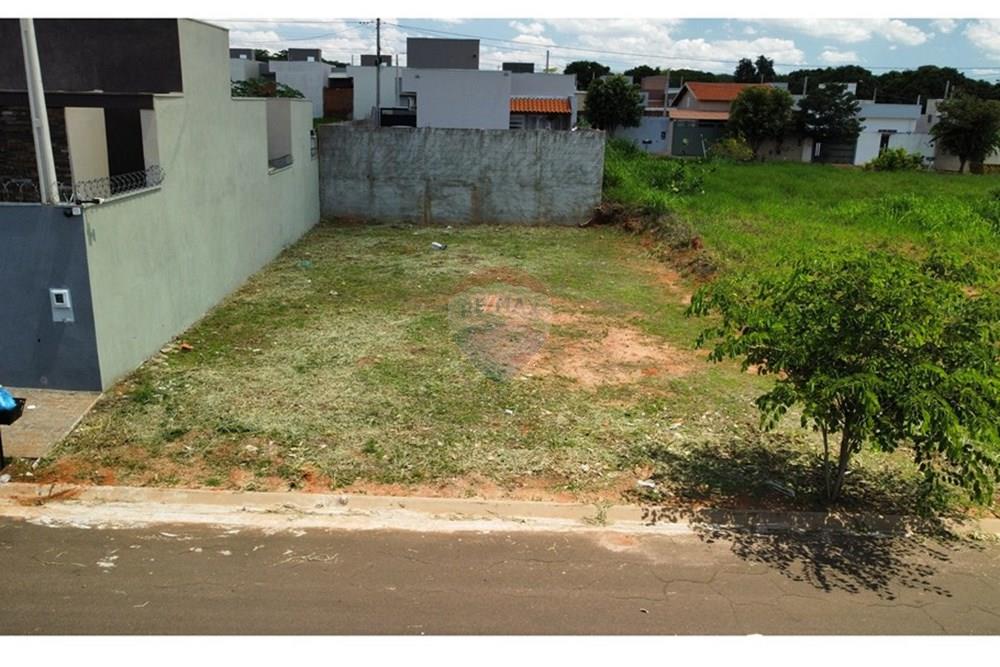 Terreno - Venda - Cedral , São Paulo - dji_fly_20241111_132322_32_1731342225528_photo_optimized - Copia.jpg - 631481001-5