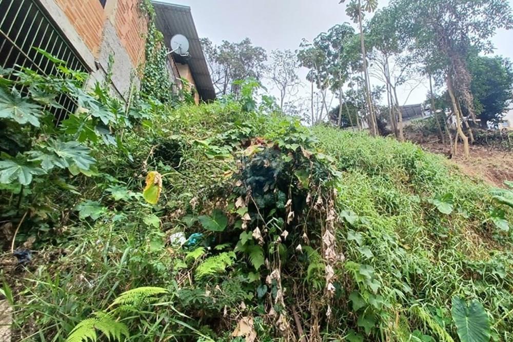 Terreno - Venda - Nova Friburgo , Rio de Janeiro - 03d4baca-3f2b-42dd-ae0d-58820386fdfd (1).jpg - 630551049-22