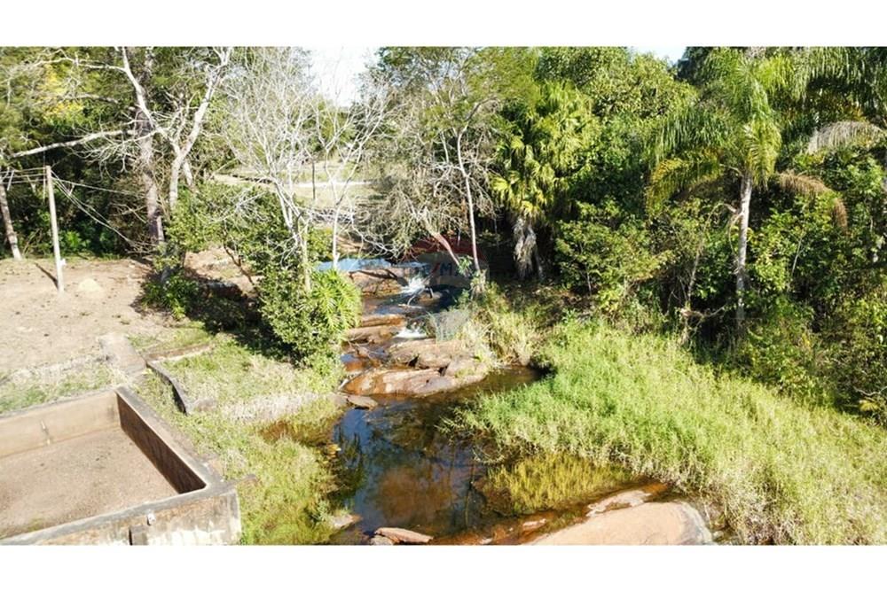 Chácara / Sítio / Fazenda - Venda - Santa Isabel , São Paulo - IMG-20250901-WA0309.jpg - 631491029-10