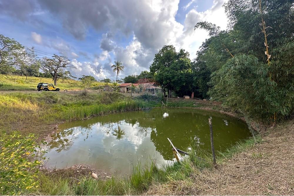 Chácara / Sítio / Fazenda - Venda - Bauru , São Paulo - 65.jpg - 631401012-35