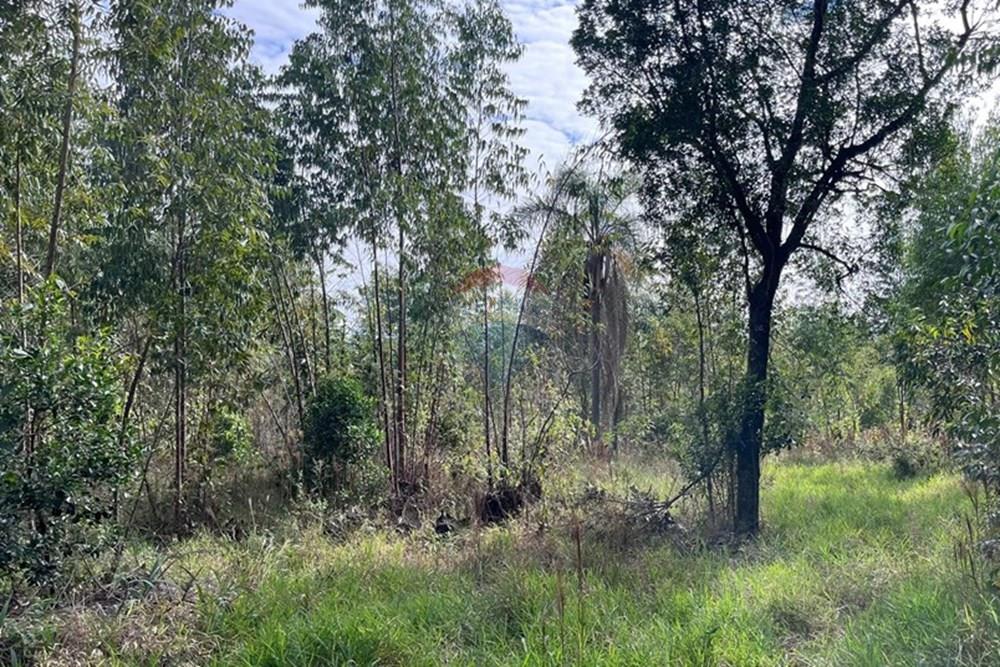 Terreno - Venda - Cabreúva , São Paulo - foto 15.jpg - 630531013-11