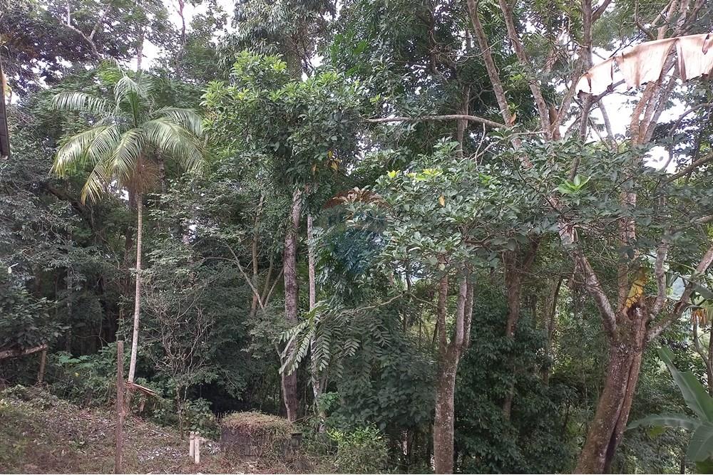 Casa - Venda - Nova Friburgo , Rio de Janeiro - 20250213_105343.jpg - 630551089-1