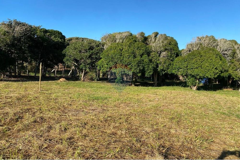 Terreno - Venda - Armação dos Búzios , Rio de Janeiro - WhatsApp Image 2025-07-08 at 11.40.45.jpeg - 630391072-17