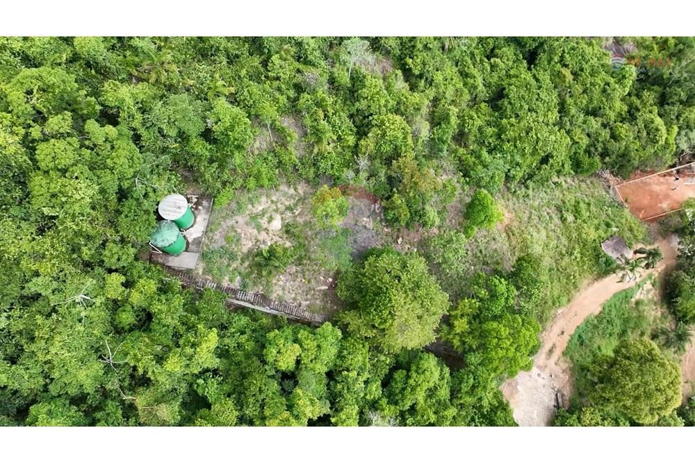 Terreno - Venda - Ilhabela , São Paulo - FOTOS (25).jpg - 630951006-33