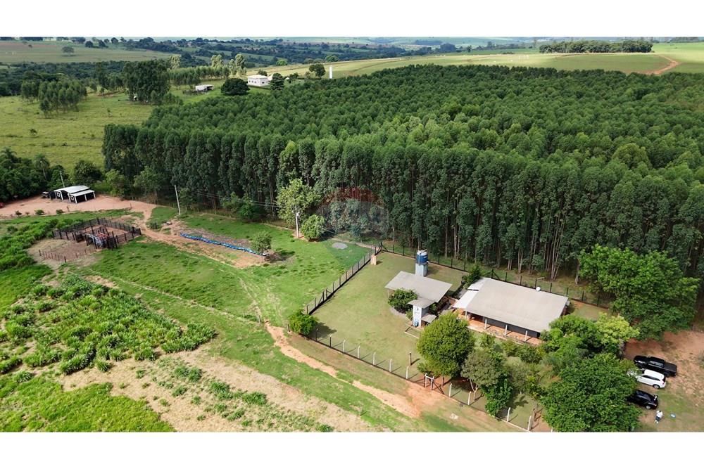 Agro - Venda - Regente Feijó , São Paulo - 1_HORIZONTAL.00_12_31_13.Quadro034.jpg - 630091016-183