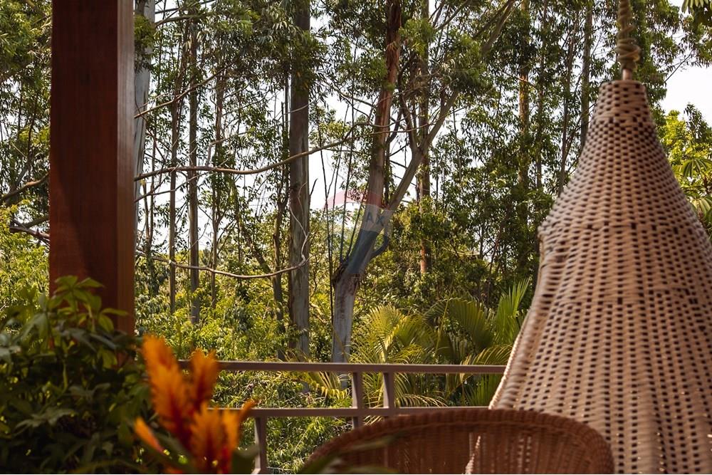 Casa de Condomínio - Venda - Ibiúna , São Paulo - IMG_6883.jpg - 631331006-47