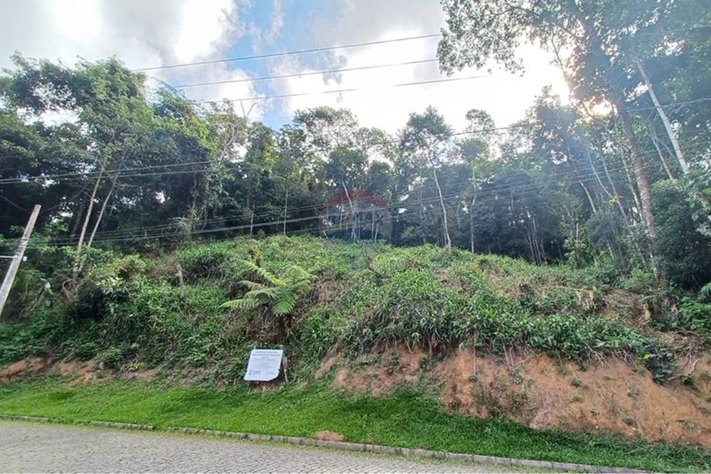 Terreno - Venda - Nova Friburgo , Rio de Janeiro - 5cc9f385-3087-4c4e-a1f7-f948b8b44c0d.jpg - 630551049-25