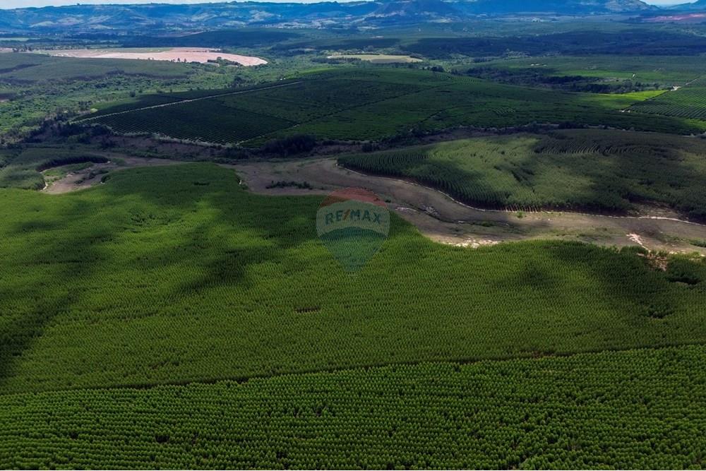 Chácara / Sítio / Fazenda - Venda - Bofete , São Paulo - 9-DJI_0277.jpg - 630481027-104