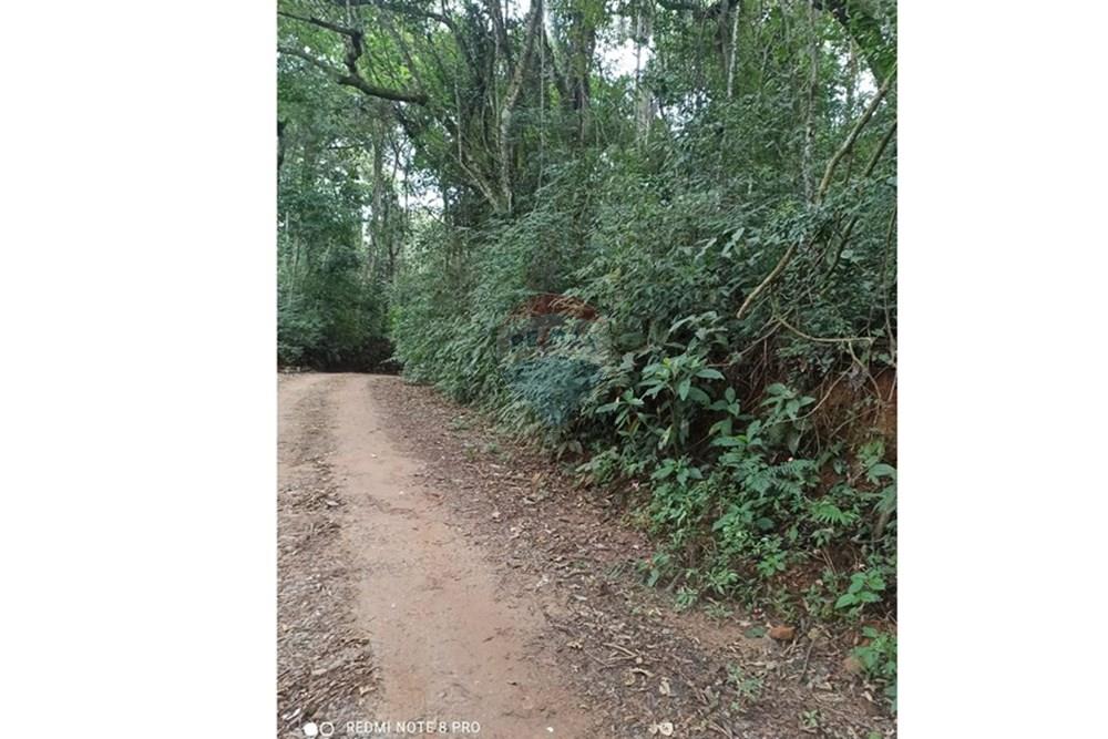 Terreno - Venda - Mairiporã , São Paulo - WhatsApp Image 2025-07-28 at 23.50.06.jpeg - 631361025-37