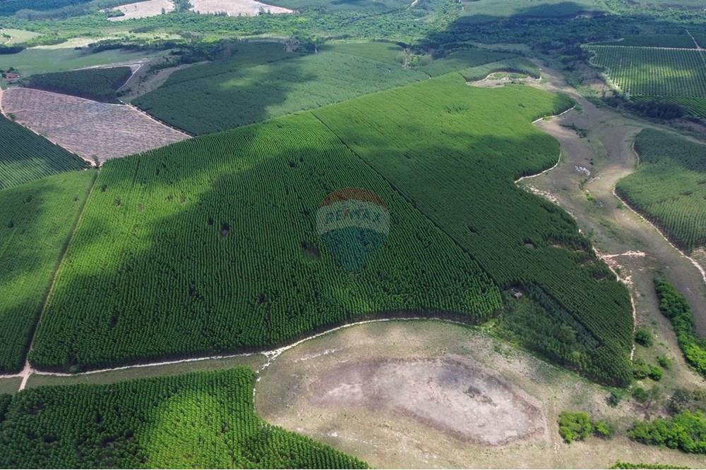 Chácara / Sítio / Fazenda - Venda - Bofete , São Paulo - 2-DJI_0263 (1).jpg - 630481027-104