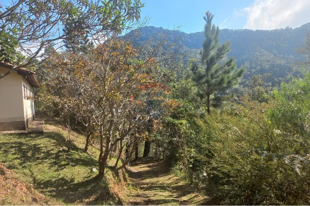 Chácara / Sítio / Fazenda - Venda - Nova Friburgo , Rio de Janeiro - WhatsApp Image 2025-07-21 at 11.11.10.jpeg - 630551037-31
