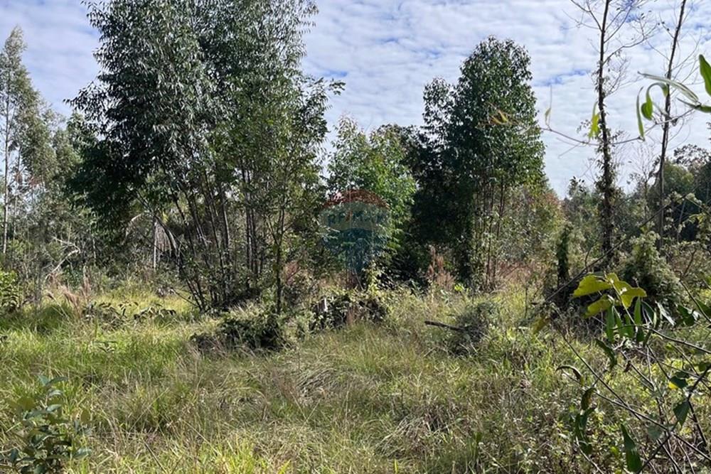 Terreno - Venda - Cabreúva , São Paulo - foto 20.jpg - 630531013-11