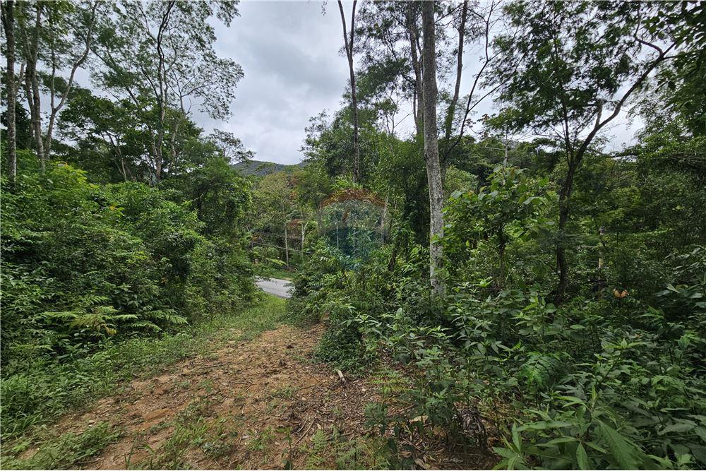 Terreno - Venda - Nova Friburgo , Rio de Janeiro - 46 - 630551016-143