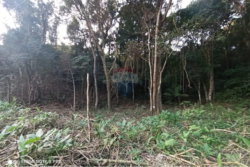 Terreno - Venda - Mairiporã , São Paulo - WhatsApp Image 2025-07-14 at 23.09.36.jpeg - 631361025-36