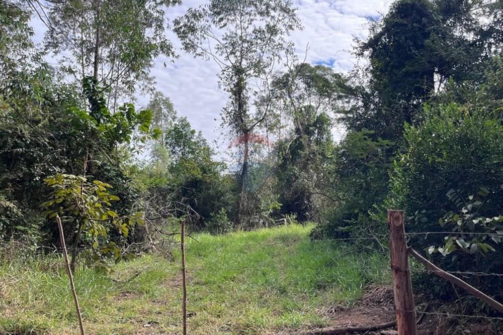 Terreno - Venda - Cabreúva , São Paulo - foto 6.jpg - 630531013-11