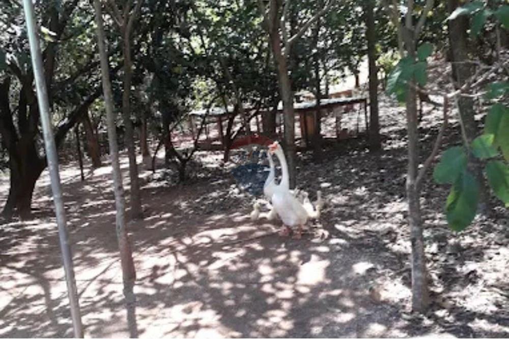 Casa de Condomínio - Alugar - Sorocaba , São Paulo - 13.jpg - 630601309-5