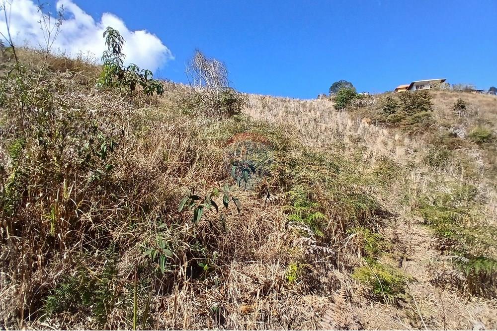 Terreno - Venda - Nova Friburgo , Rio de Janeiro - 20250814_102145.jpg - 630551084-22