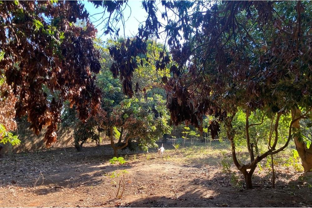 Chácara / Sítio / Fazenda - Venda - Lins , São Paulo - WhatsApp Image 2025-08-12 at 20.28.54 (9).jpeg - 631011037-40