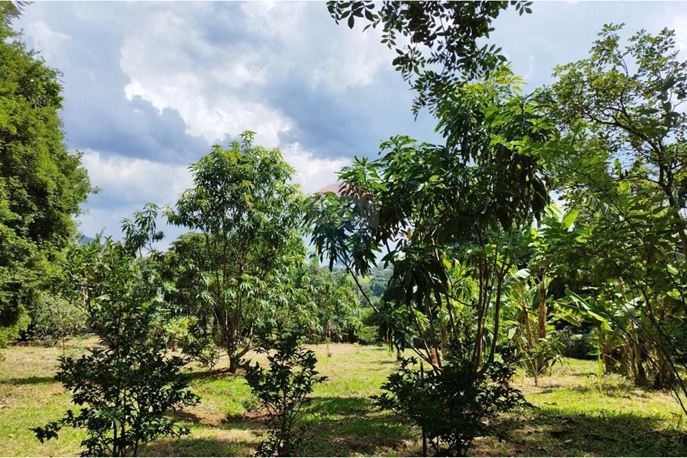 Chácara / Sítio / Fazenda - Venda - Cabreúva , São Paulo - WhatsApp Image 2025-01-07 at 15.47.14 (1).jpeg - 630531012-40