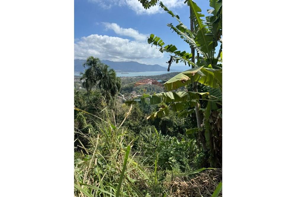 Terreno - Venda - Ilhabela , São Paulo - IMG-20250911-WA0080.jpg - 630951011-24