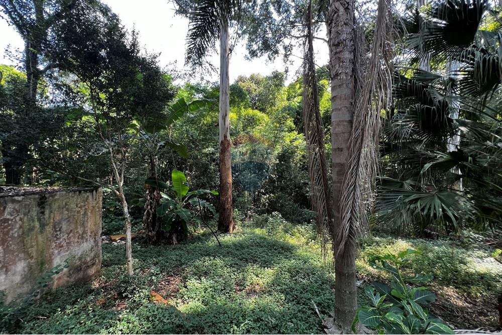 Terreno - Venda - Sorocaba , São Paulo - IMG_7269.jpg - 630601137-120