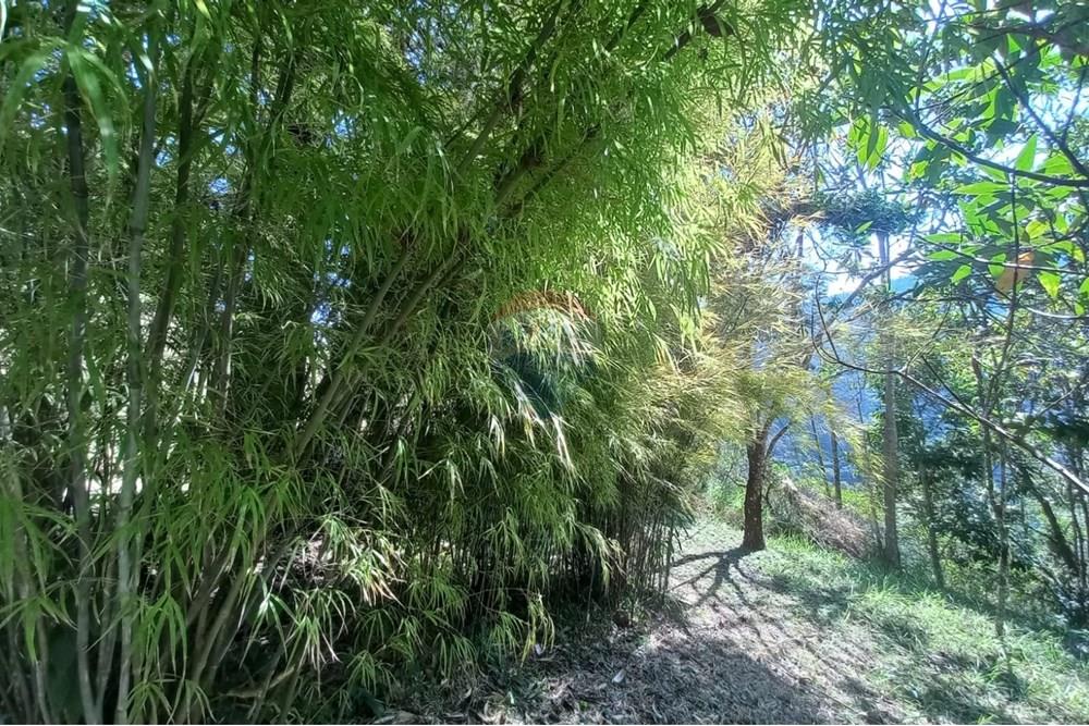 Chácara / Sítio / Fazenda - Venda - Nova Friburgo , Rio de Janeiro - WhatsApp Image 2025-07-21 at 11.11.05 (1).jpeg - 630551037-31