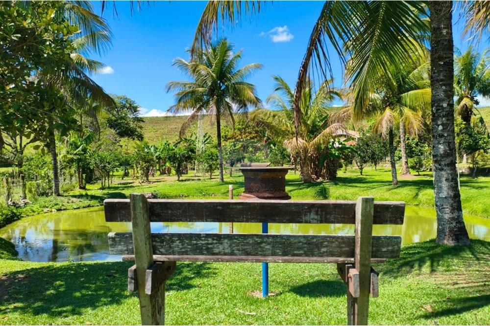 Chácara / Sítio / Fazenda - Venda - Rio Bonito , Rio de Janeiro - WhatsApp Image 2025-09-22 at 14.45.57 (1).jpeg - 631351026-2