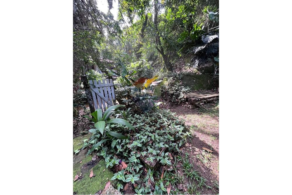 Casa - Venda - Ilhabela , São Paulo - WhatsApp Image 2025-07-31 at 16.06.52 (1).jpeg - 690881023-50