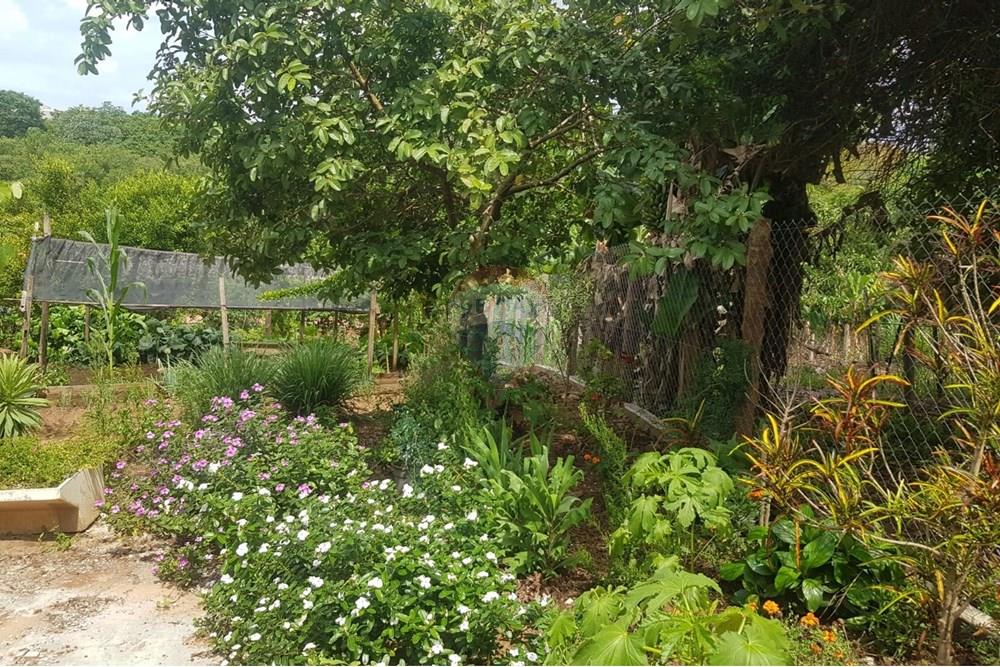 Casa - Venda - Botucatu , São Paulo - WhatsApp Image 2024-11-28 at 09.14.49 (3).jpeg - 630481097-136