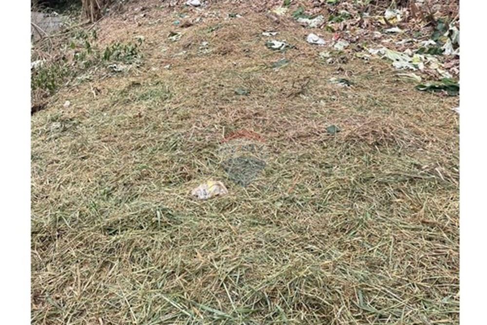 Terreno - Venda - Mairiporã , São Paulo - f372412d-16f2-41b6-a32a-35de55357669.jpeg - 631361059-9