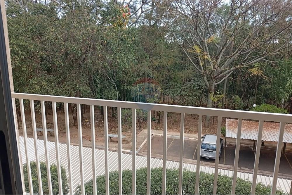 Apartamento - Alugar - Lins , São Paulo - WhatsApp Image 2025-08-27 at 16.53.25.jpeg - 631011013-1216