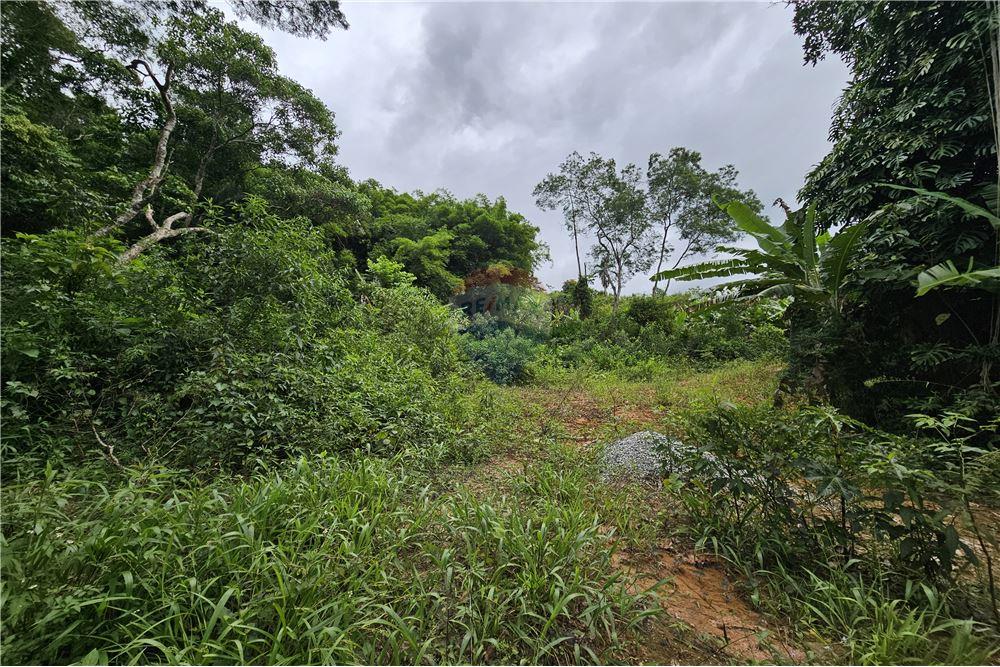 Terreno - Venda - Nova Friburgo , Rio de Janeiro - 41 - 630551016-143