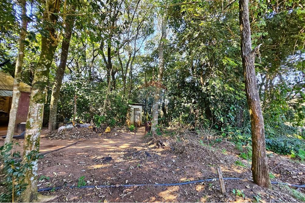 Fazenda - Venda - Botucatu , São Paulo - IMG-20250717-WA0052.jpg - 630111096-7