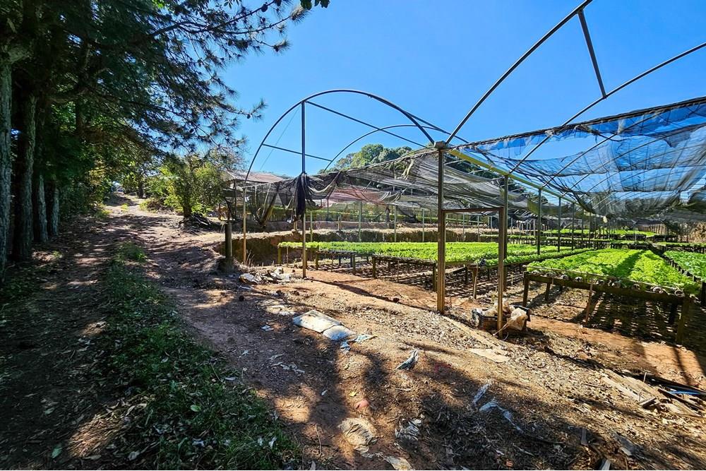 Fazenda - Venda - Botucatu , São Paulo - IMG-20250717-WA0041.jpg - 630111096-7