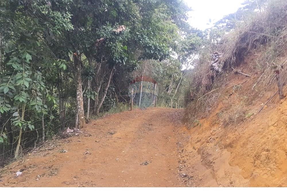 Fazenda - Venda - Teresópolis , Rio de Janeiro - 20250702_132550.jpg - 630191078-25