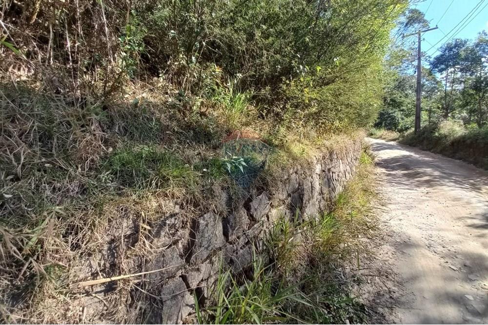 Chácara / Sítio / Fazenda - Venda - Nova Friburgo , Rio de Janeiro - d51ecca2-2bc2-4d47-b112-c0fad3961602.jpg - 630551037-31