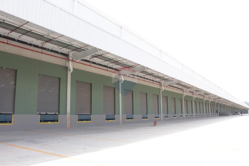 Galpão - Alugar - Mauá , São Paulo - IMG_8425.jpg - 630751057-146