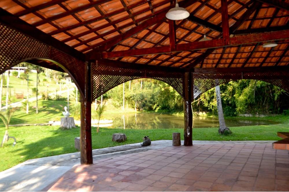 Chácara / Sítio / Fazenda - Venda - São Roque , São Paulo - DSC_6512.jpg - 631601004-87