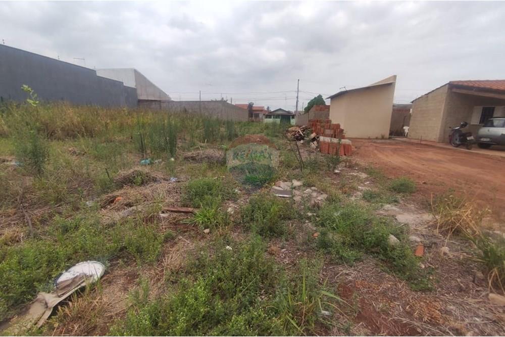 Terreno - Venda - Andradina , São Paulo - WhatsApp Image 2025-10-15 at 14.23.06.jpeg - 631201044-306