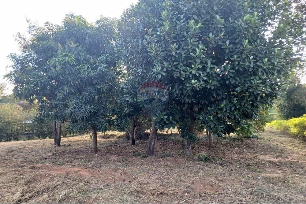 Terreno - Venda - Lins , São Paulo - WhatsApp Image 2025-01-02 at 22.52.36.jpeg - 631011037-12