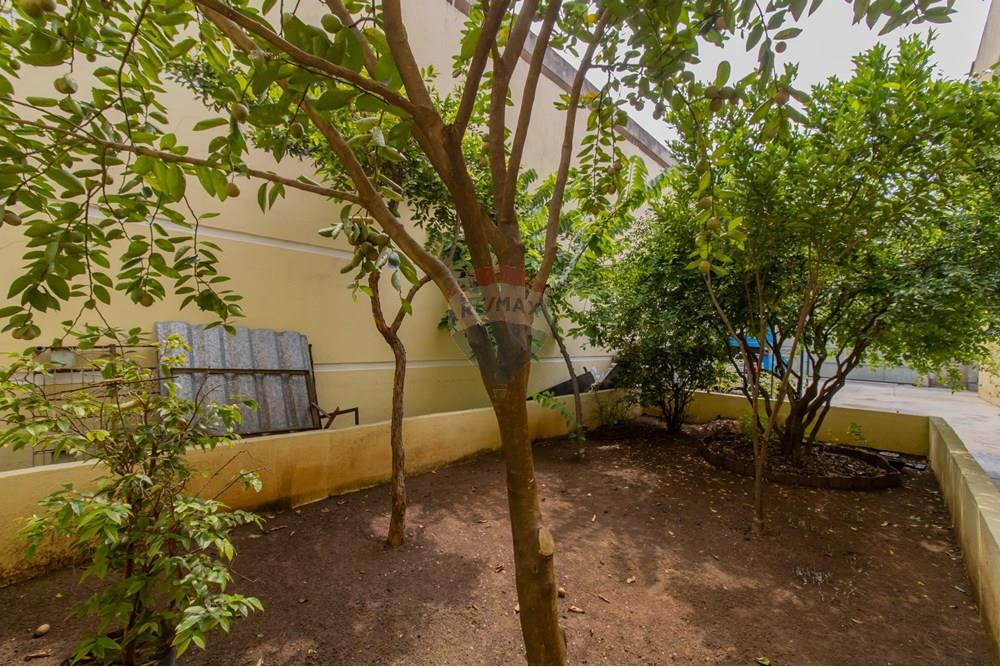 Casa - Venda - Guarulhos , São Paulo - _MG_0820.jpg - Jardim Interno - 631421011-25