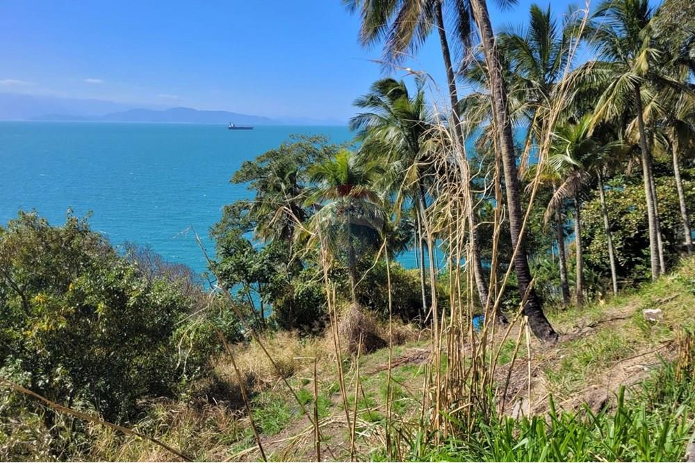 Terreno - Venda - Ilhabela , São Paulo - WhatsApp Image 2025-08-17 at 14.01.43.jpeg - 690881023-41