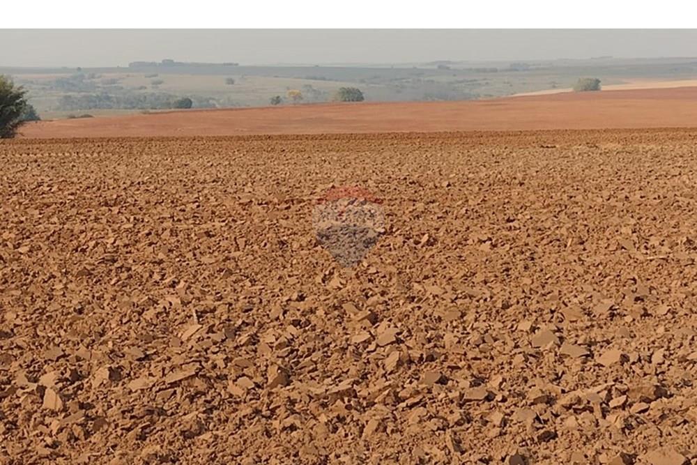 Chácara / Sítio / Fazenda - Venda - Tupã , São Paulo - WhatsApp Image 2024-10-18 at 20.43.08 (2).jpeg - 630541038-17